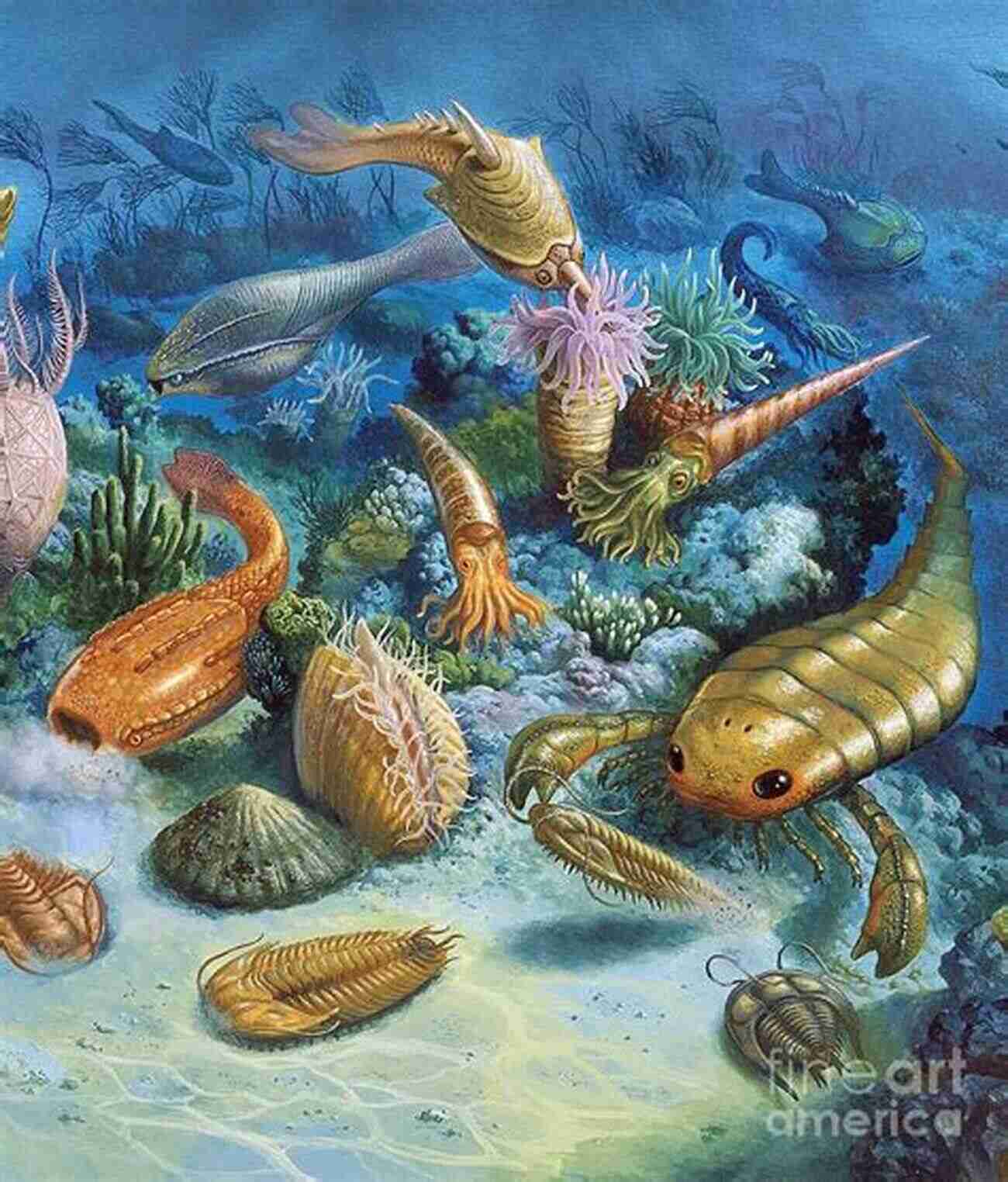 Glimpses Of Ancient Marine Life: Fossilized Shells From Millennia Ago A World In A Shell: Snail Stories For A Time Of Extinctions