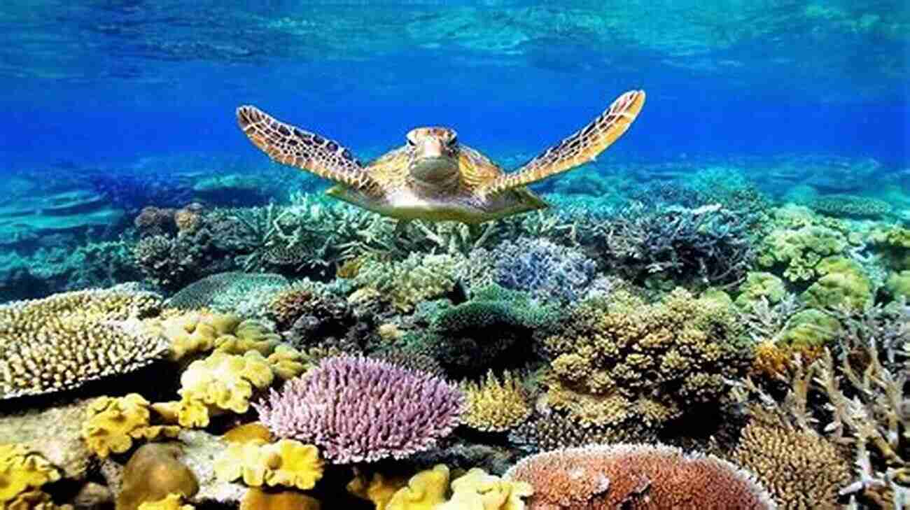 Great Barrier Reef, Australia Tour The Cruise Ports: Central America 2: Senior Friendly (Touring The Cruise Ports)