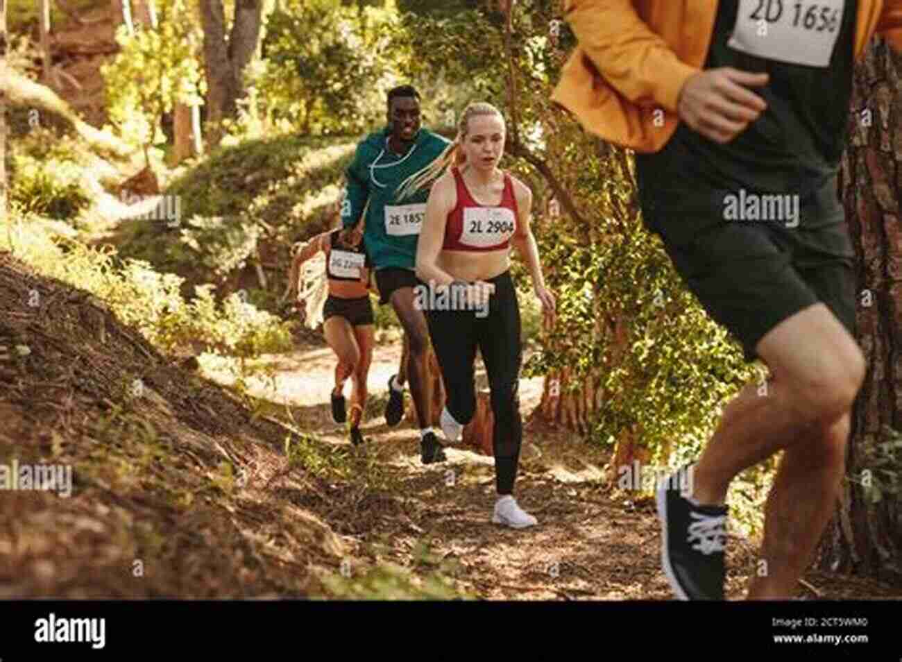 Group Of College Athletes Running On A Trail College Summer Cross Country Training