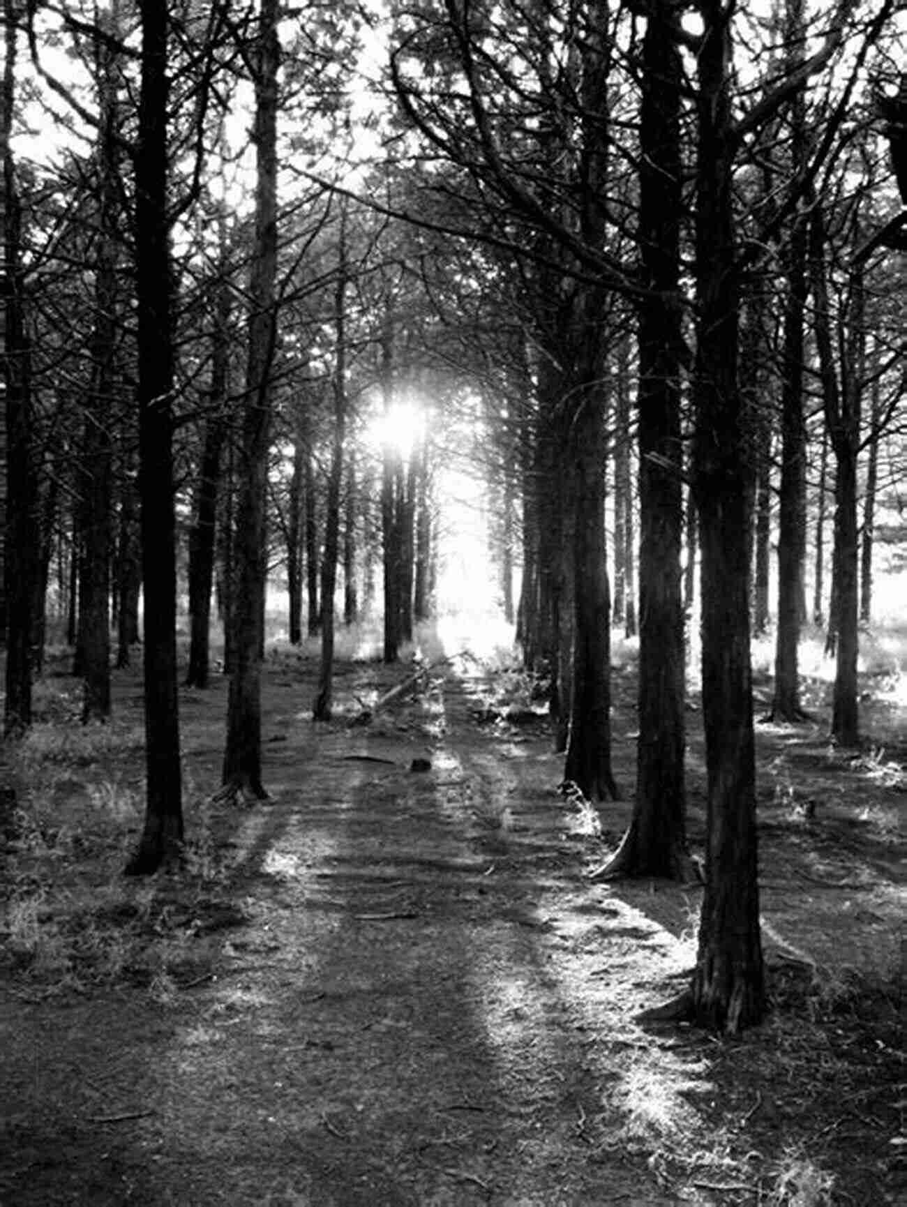 Haunted Forest In Oklahoma Haunted Oklahoma: Ghosts And Strange Phenomena Of The Sooner State