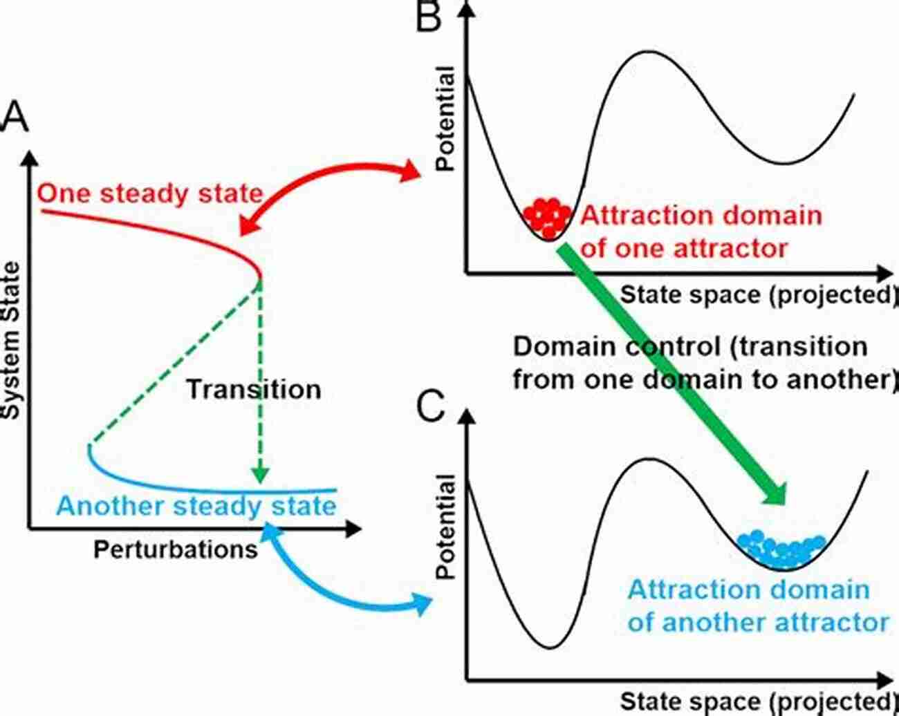 Illustration Of Control Of Nonlinear Systems Trends In Control Theory And Partial Differential Equations (Springer INdAM 32)