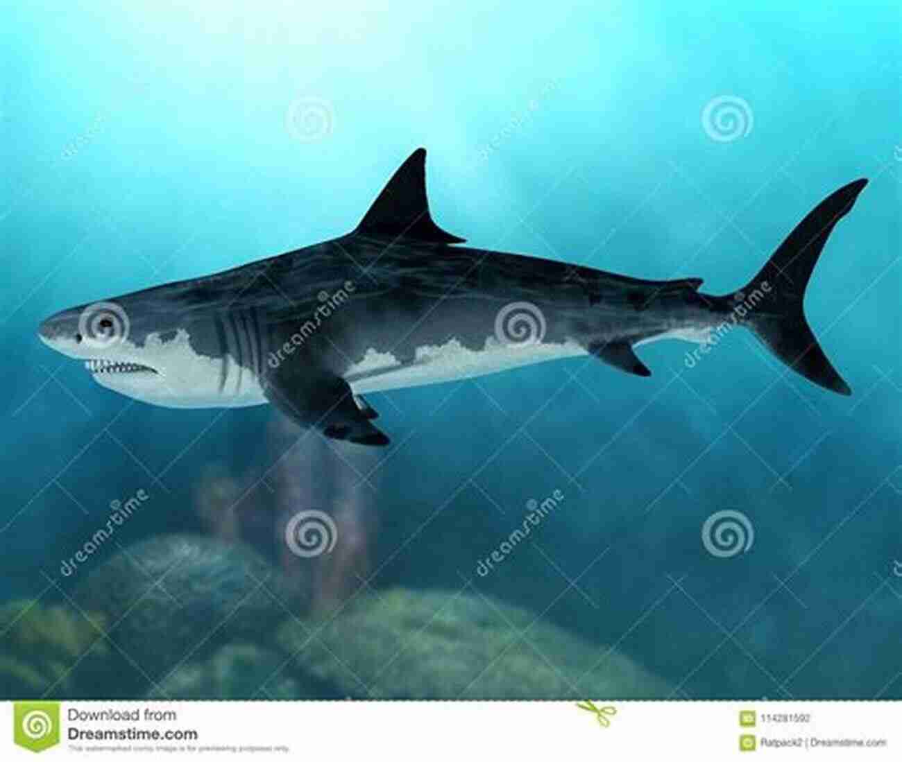 Illustration Of A Massive Megalodon Swimming Through Prehistoric Seas Dinosaurs: And Other Prehistoric Creatures