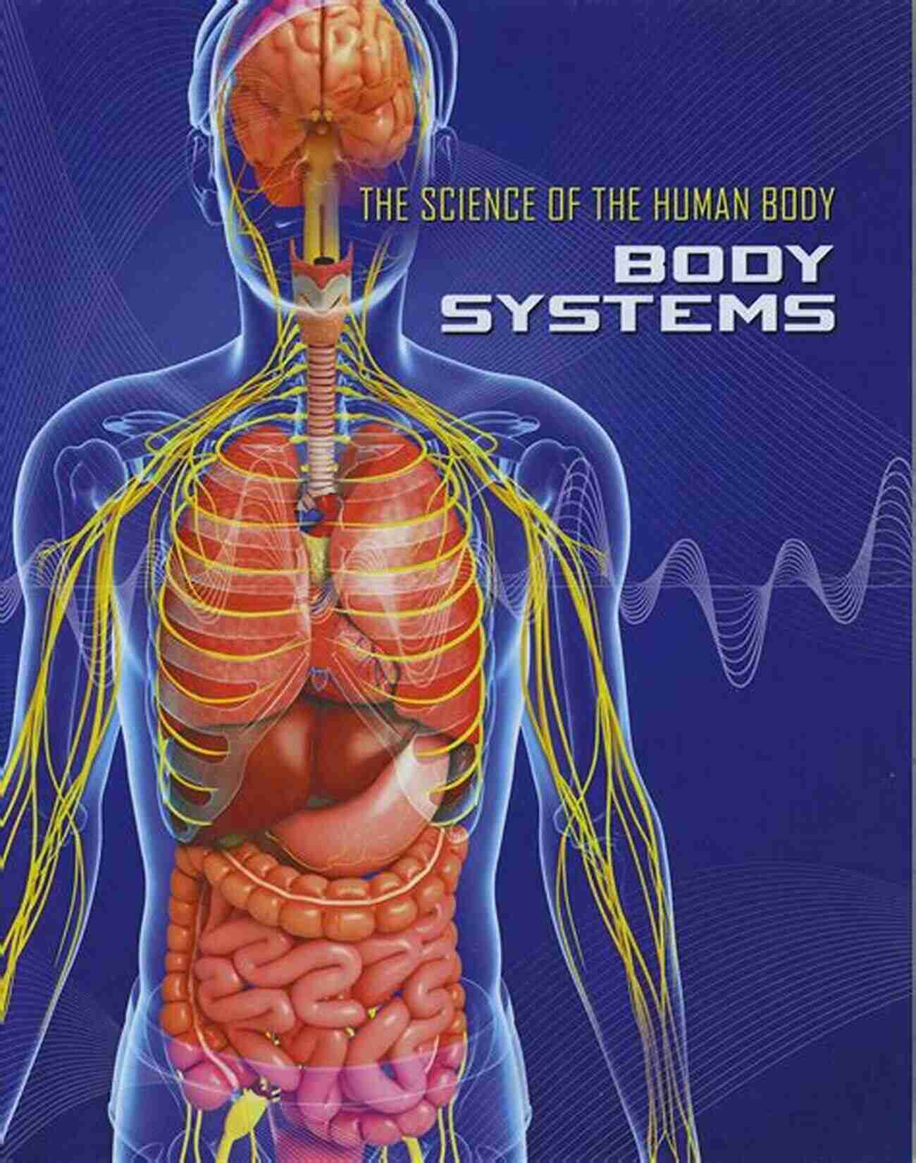 Illustration Of Human Body Systems Human Anatomy Physiology (2 Downloads) (Marieb Human Anatomy Physiology)