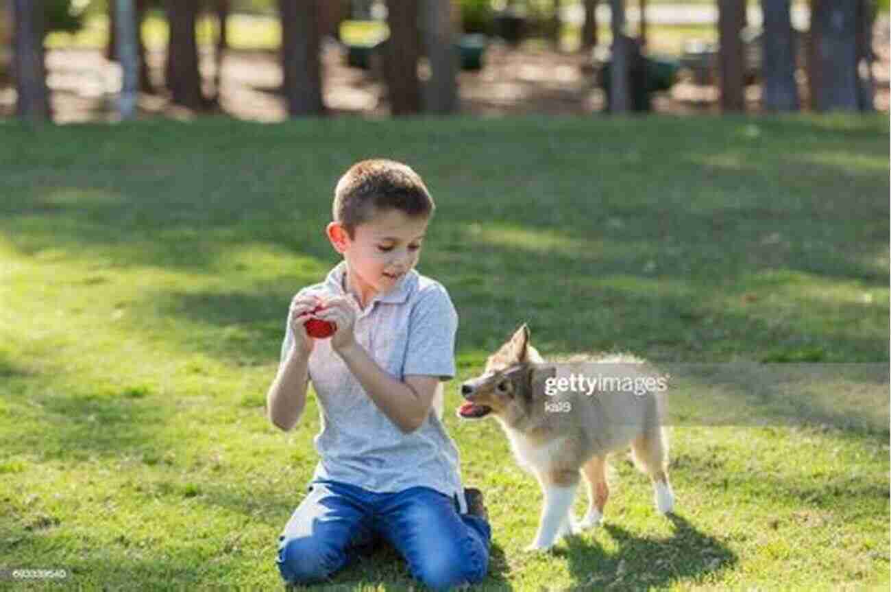 Image Of Ethan And Lucky Playing Fetch At The Park Missing Molly: A Child S Story About Loss Of A Pet