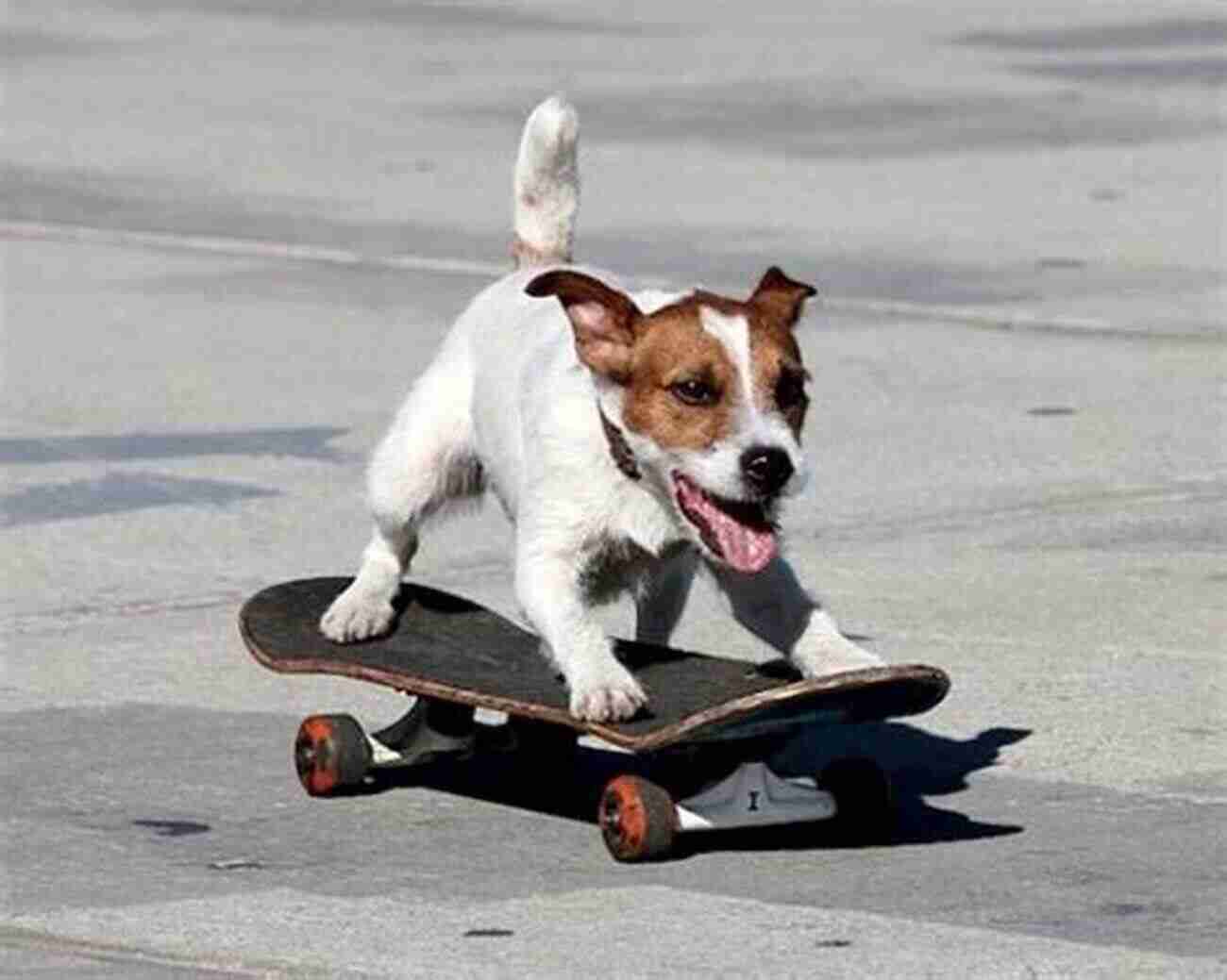 Image Of Ricky Roberts III Skateboarding With His Pet Dog Thank You Skateboarding Ricky Roberts III