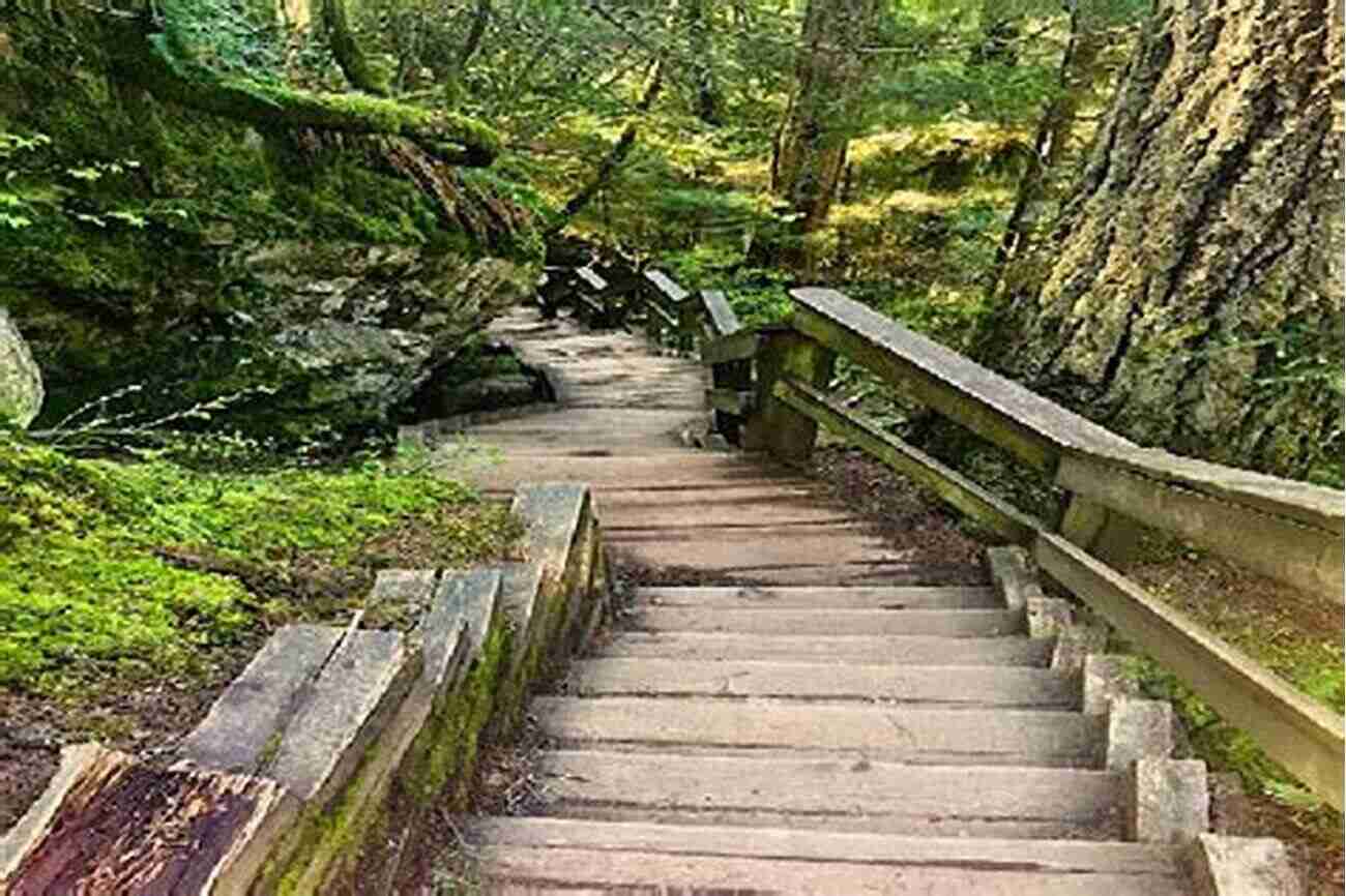 Immerse Yourself In The Serenity Of Lynn Canyon Park's Lush Trails Great Vancouver: Beautiful Places To Go