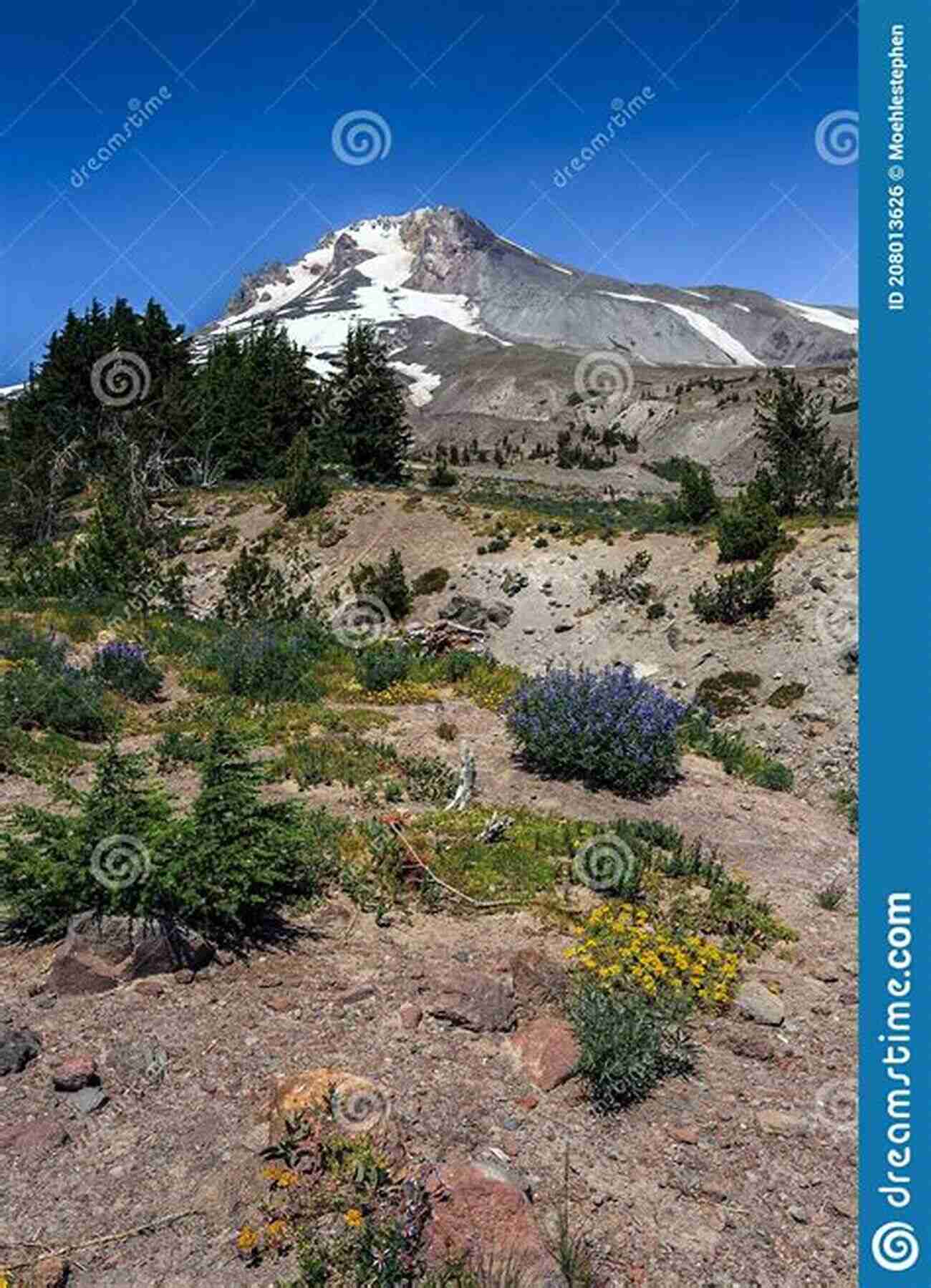 Impressive View Of Mount Hood From The Wilderness Loop Trail Backpacking Oregon: From River Valleys To Mountain Meadows