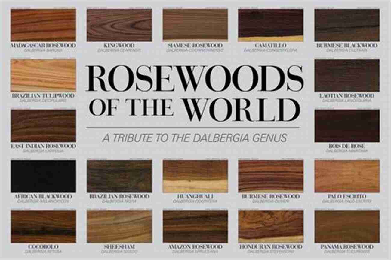 Join The Rosewoods On Their Mind Blowing Worldwide Tour! Going On Tour (The Rosewoods Rock Star 2)