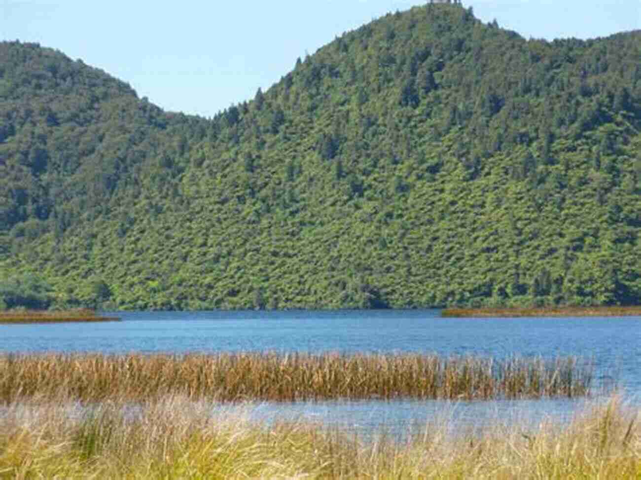 Lake Okareka And Surrounding Forest New Zealand Photo Journal #5: Hiking Rotorua Lakes