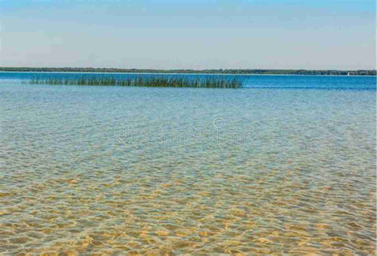 Lake Svitiaz A Stunning View Of The Crystal Clear Waters Of Lake Svitiaz, Surrounded By Lush Forests And Sandy Beaches. Ukraine (Other Places Travel Guide)