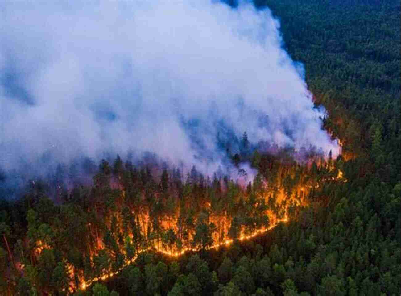 Landscape Transformed By Historical Wildfires Fire Along The Frontier: Great Battles Of The War Of 1812