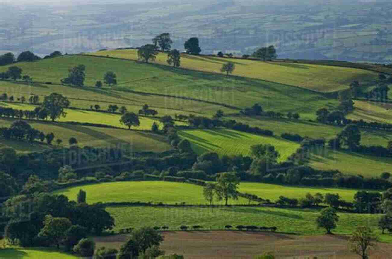 Lush Landscapes Of Wales Cave Of Secrets Morgan Llywelyn