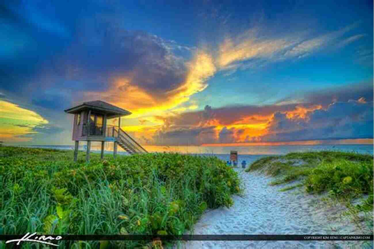 Lyn Wilkerson Enjoying The Beautiful Beaches Of Florida Slow Travels Florida Lyn Wilkerson