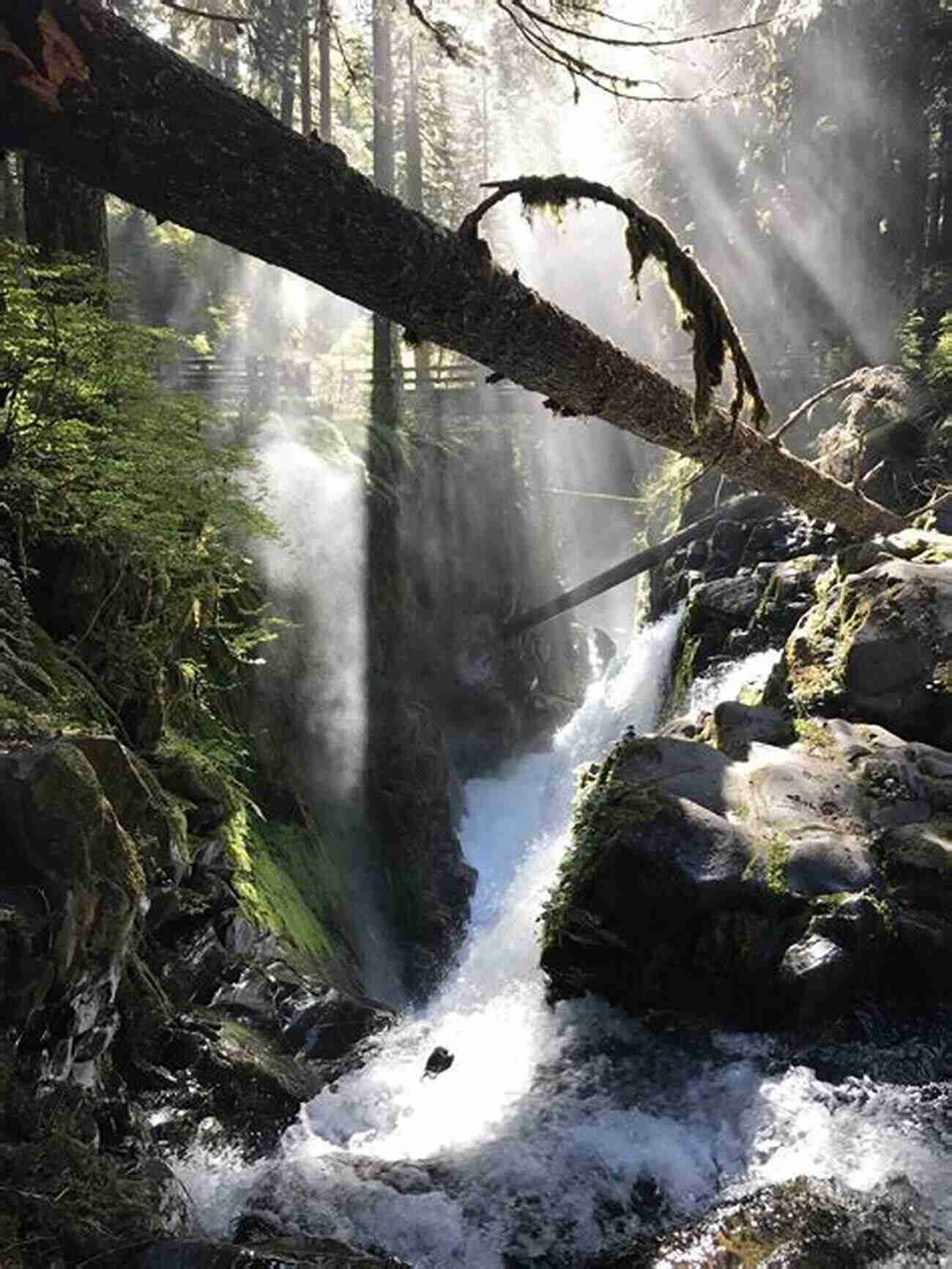 Marveling At The Beauty And Power Of Sol Duc Falls The Best Of Olympic National Park