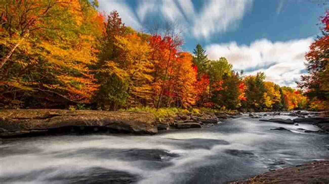 Muskoka Fall Colors Sampler 17 Ontario In Colour Photos Sampler 17 Ontario In Colour Photos: Saving Our History One Photo At A Time (Sampler Cruising)