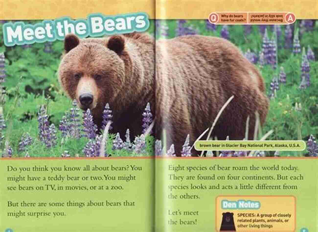 National Geographic Readers Bears An Incredible Journey Through The World Of Bears National Geographic Readers: Bears National Geographic Kids