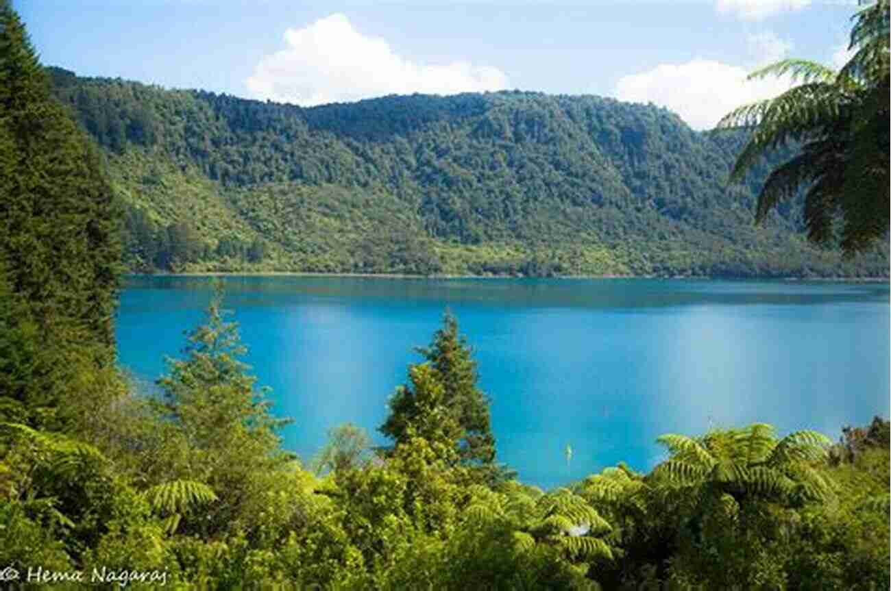 New Zealand Hiking Adventure At Rotorua Lakes New Zealand Photo Journal #5: Hiking Rotorua Lakes