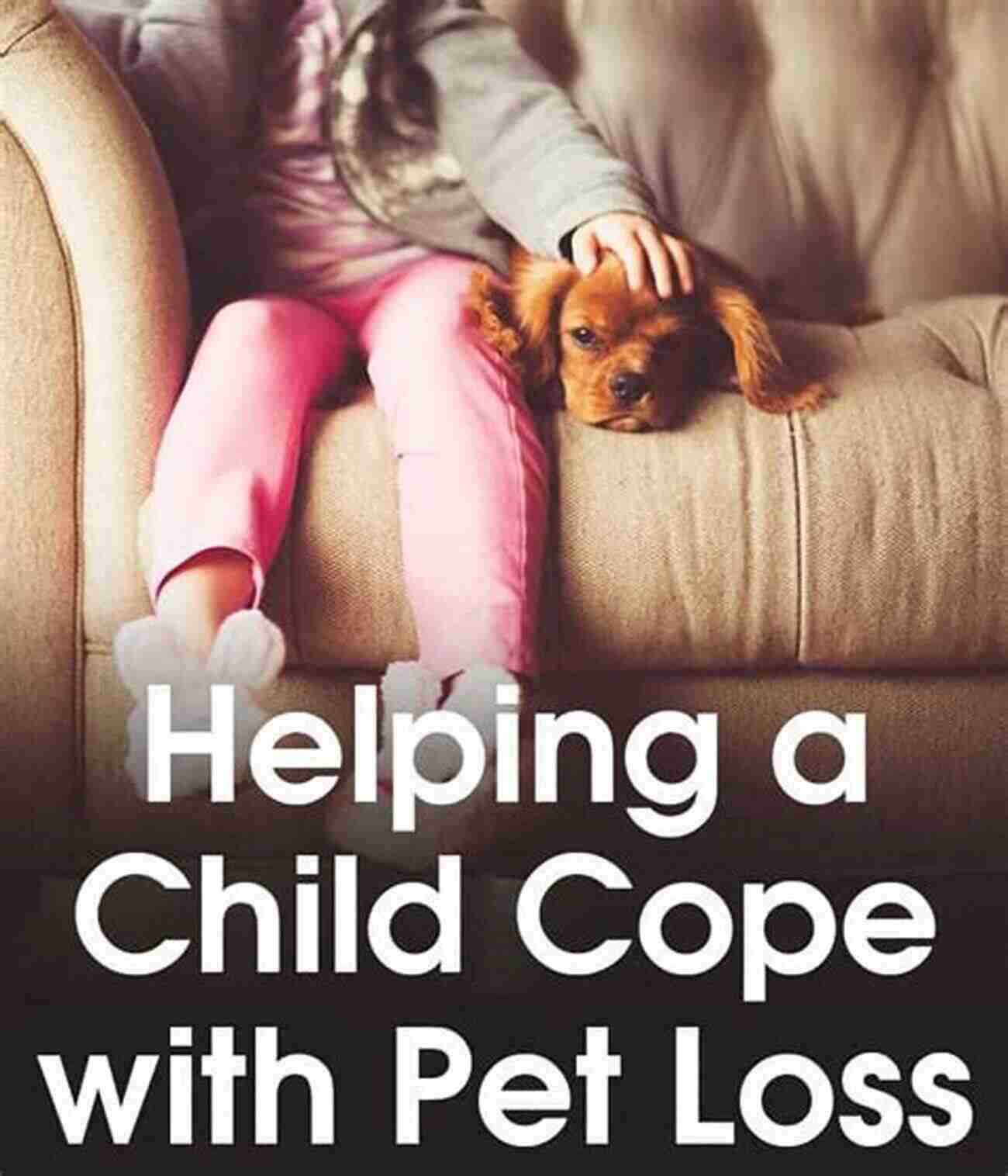 Parent Guide To Helping Your Child With The Loss Of Pet When Is Buddy Coming Home?: A Parent S Guide To Helping Your Child With The Loss Of A Pet