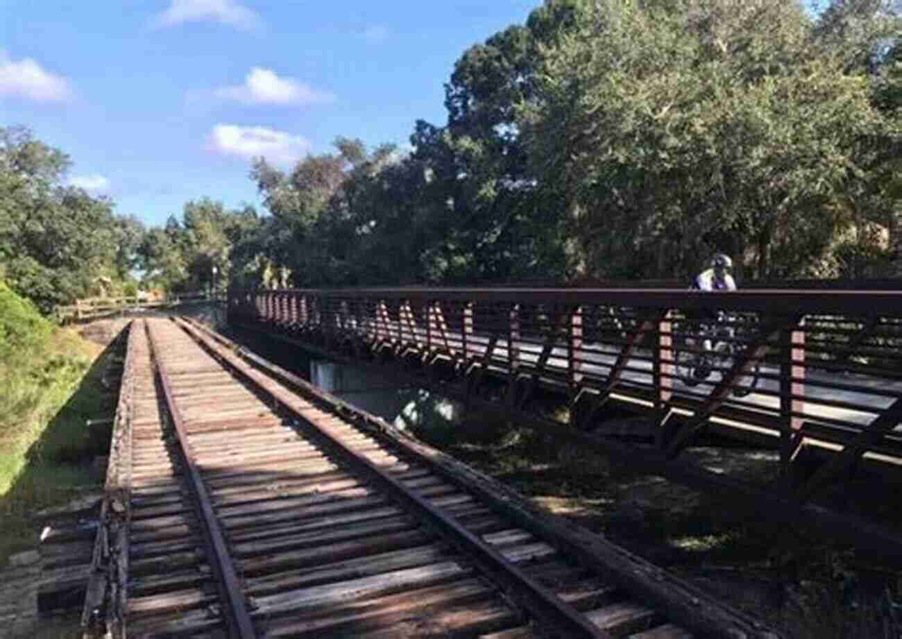 Pedal Your Way Along The Scenic Legacy Trail 10 Adventures And More In Lee And Collier Counties: Florida On Land And Water