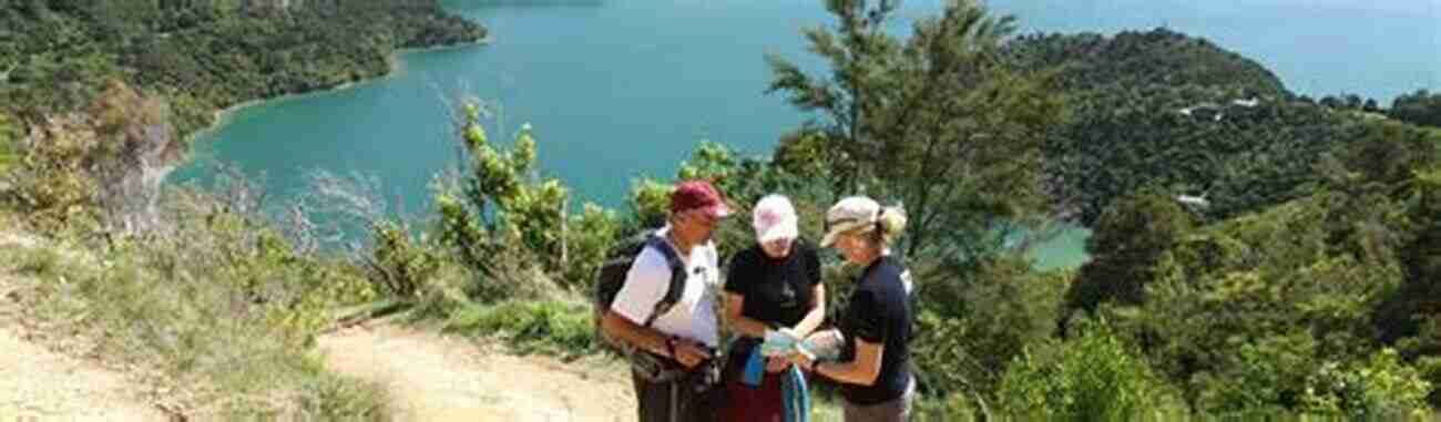 Playful Dolphins Greeting Hikers Along The Queen Charlotte Track New Zealand Photo Journal #14: Queen Charlotte Track