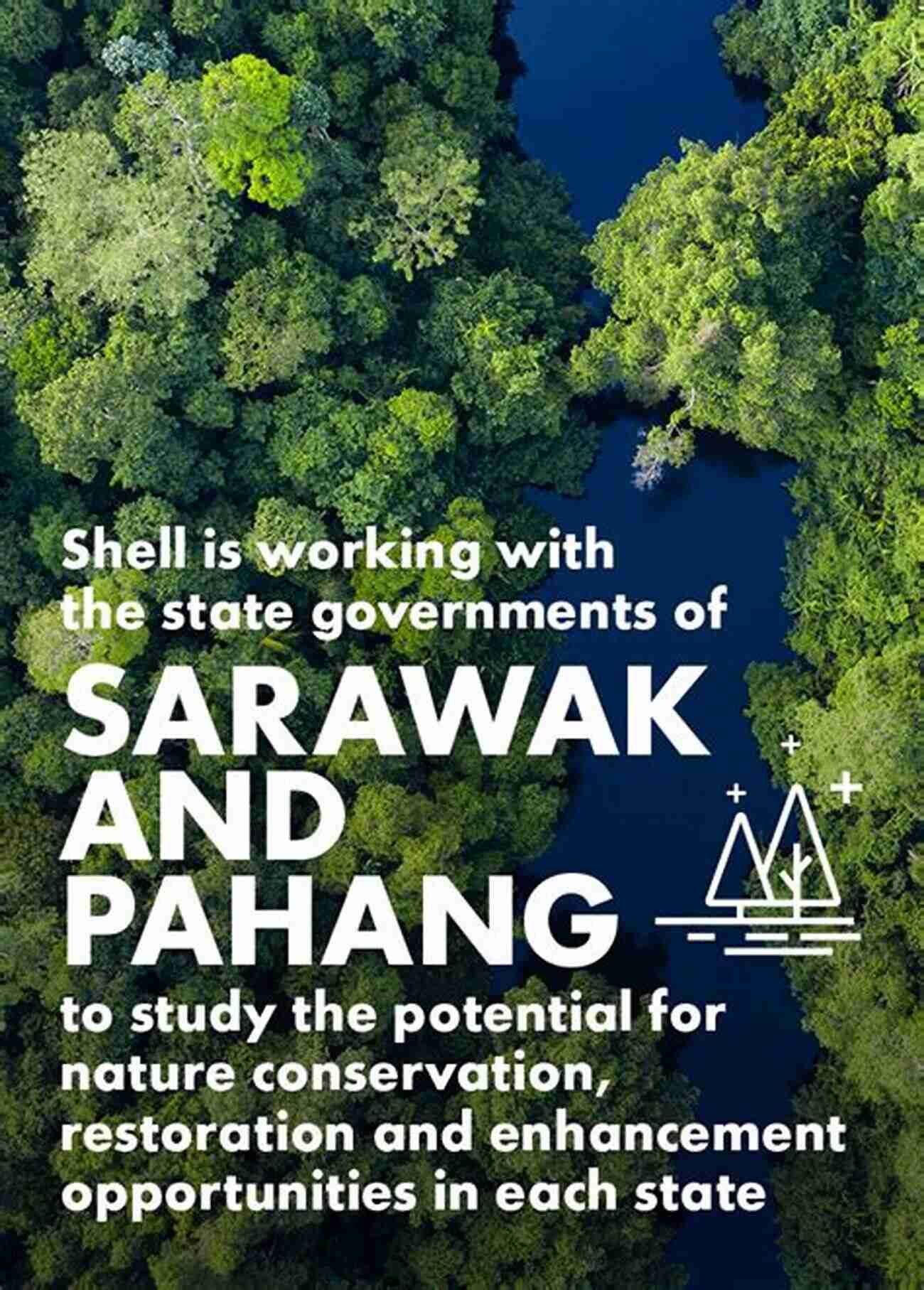 Preserving The Seas: World In Shell's Conservation Initiatives A World In A Shell: Snail Stories For A Time Of Extinctions