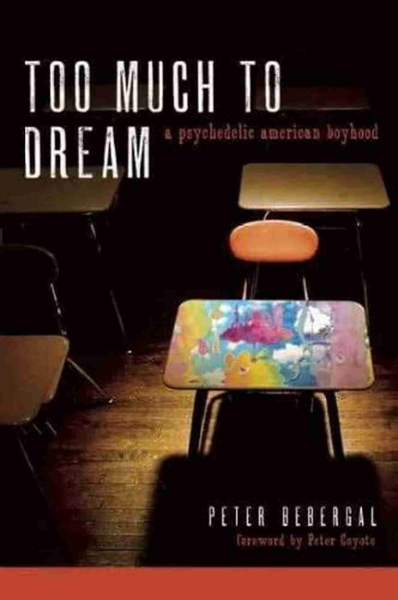 Psychelic American Boyhood Too Much To Dream: A Psychedelic American Boyhood