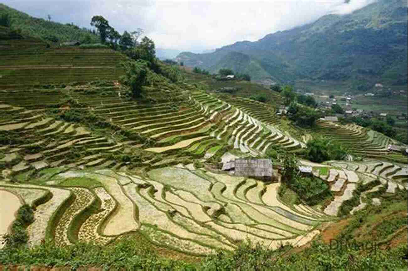 Sapa's Stunning Rice Terraces Vietnam Travel Magic #2: Touring Sapa Mountains