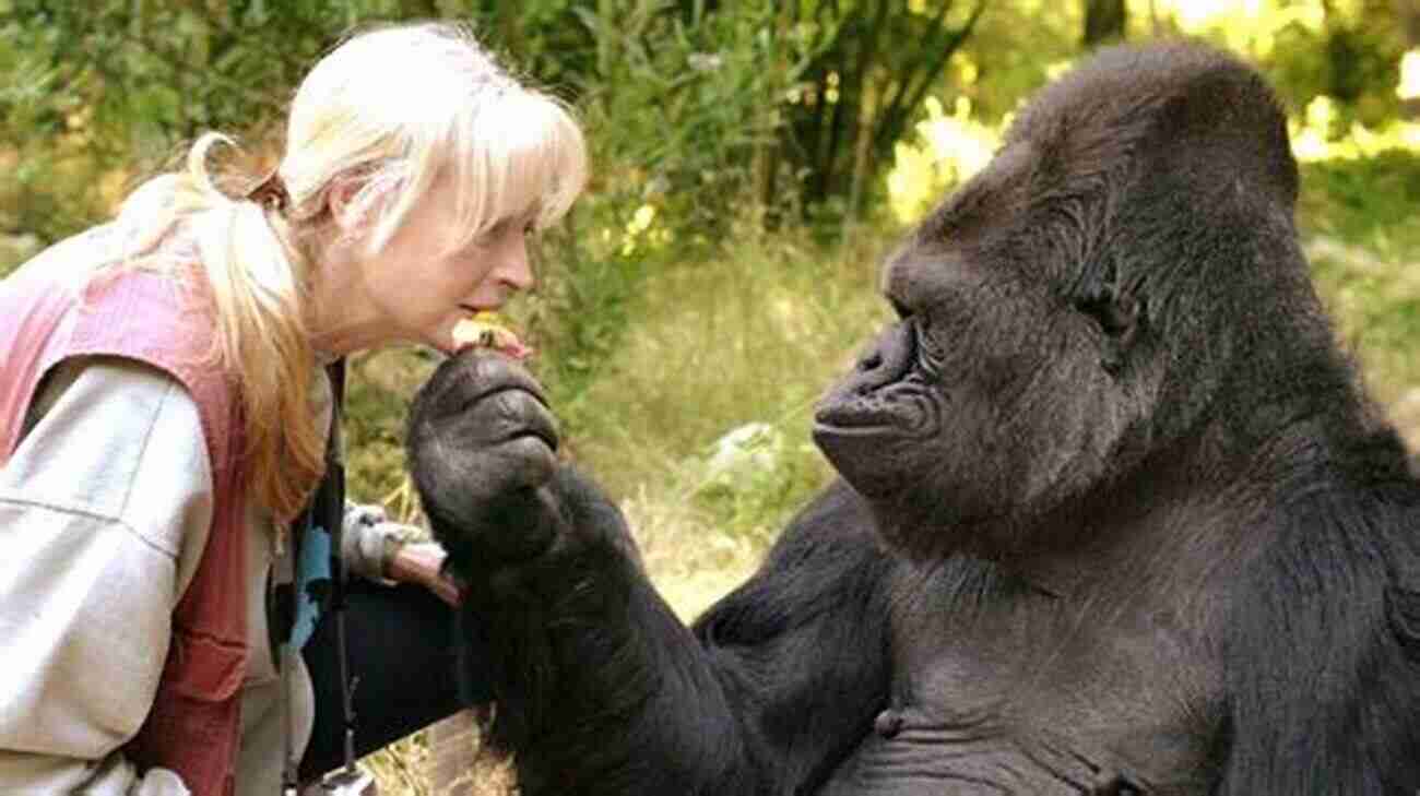 Sign Language Gorilla Koko Amazing Animals Who Changed The World (People Who Changed The World)