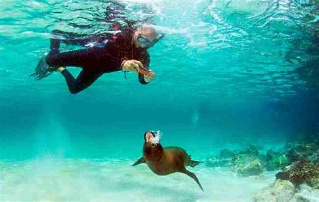 Snorkeling In The Galapagos Islands My Family And The Galapagos