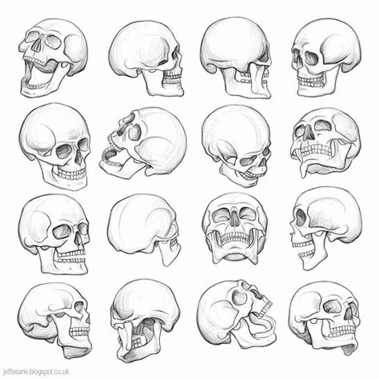 Step By Step Guide On Drawing The Anatomy Of The Skull How To Draw The Anatomy: The Skull