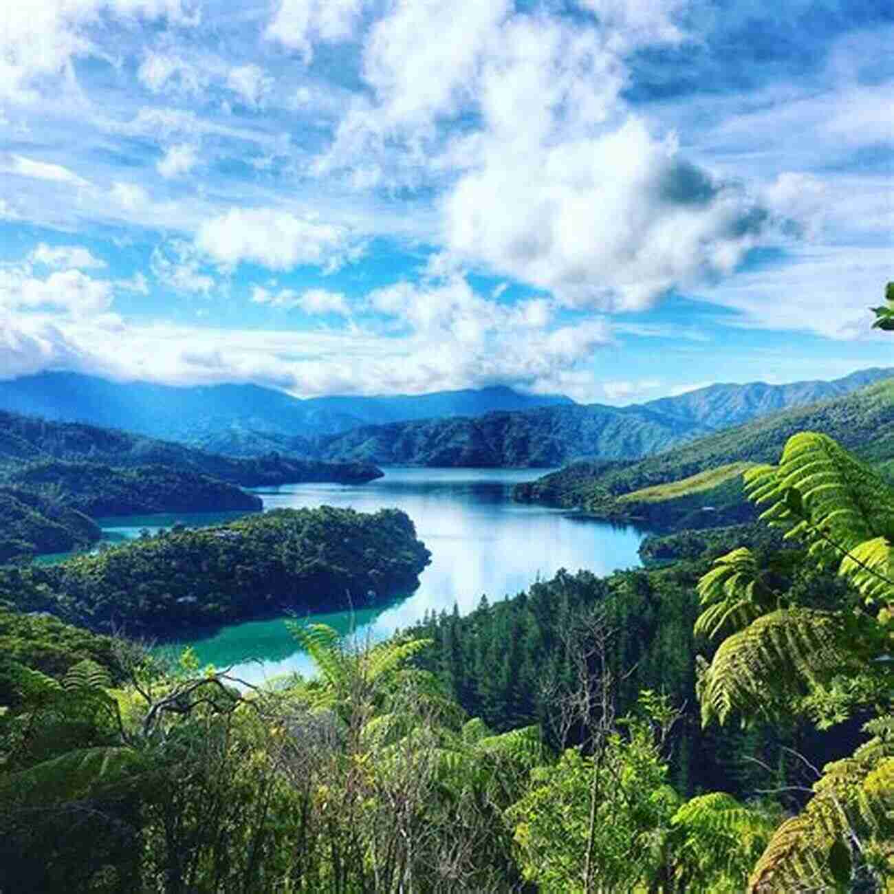 Stunning Views Of Queen Charlotte Track A Picturesque Hiking Destination In New Zealand New Zealand Photo Journal #14: Queen Charlotte Track