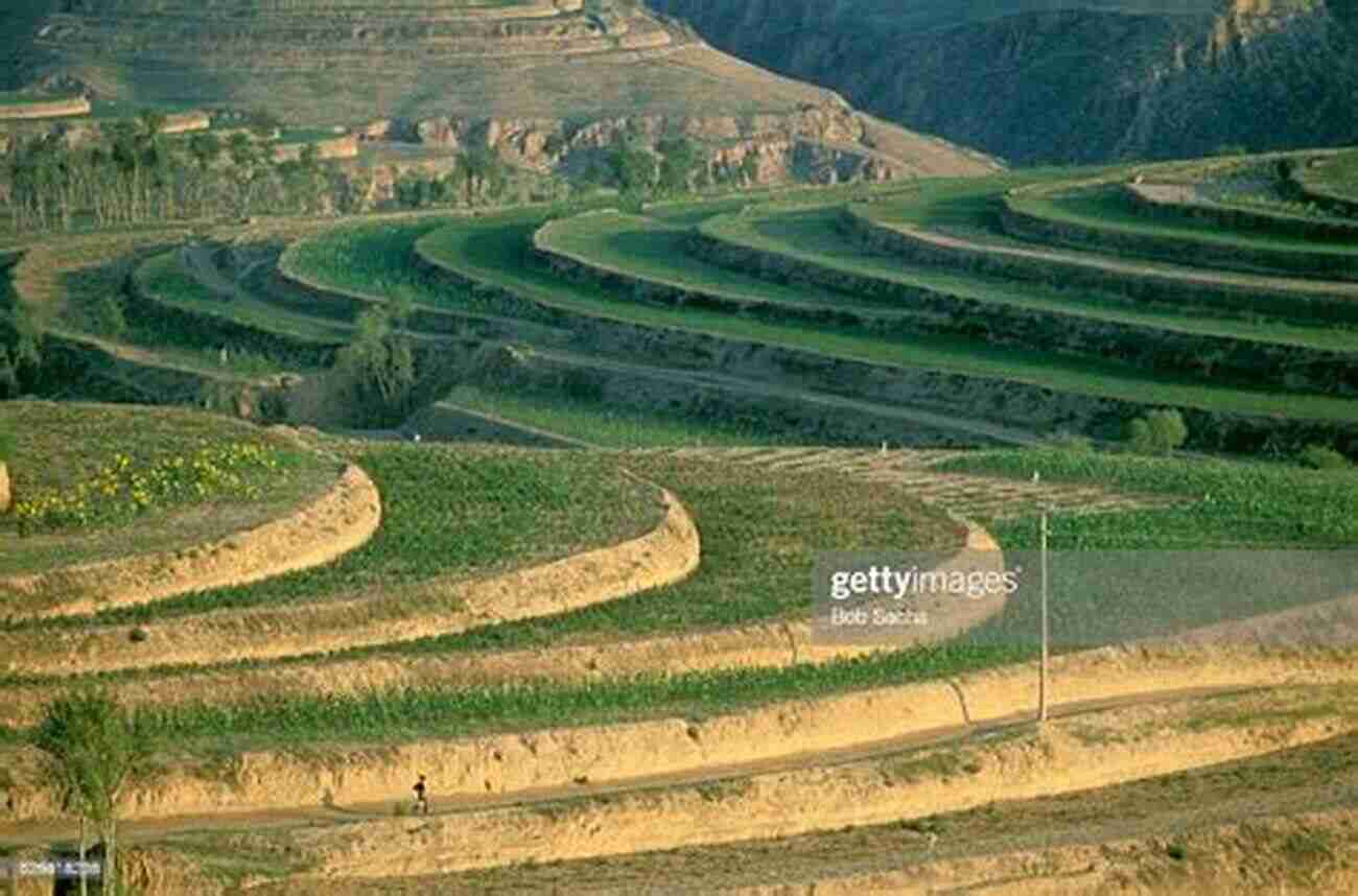 Terraces Used For Soil Erosion Prevention In Eastern China Theory And Practice Of Soil Loss Control In Eastern China