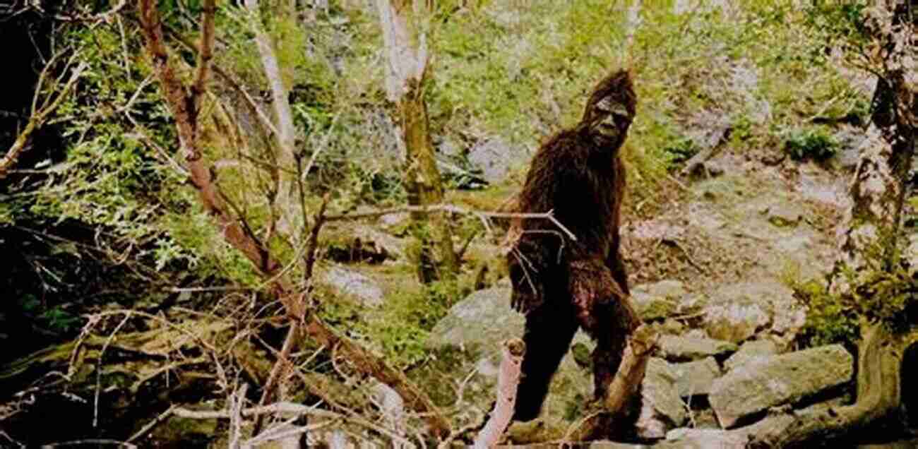 The Appalachian Sasquatch Speculated To Be A Distant Relative Of The Abominable Snowman Monsters Of North Carolina: Mysterious Creatures In The Tar Heel State