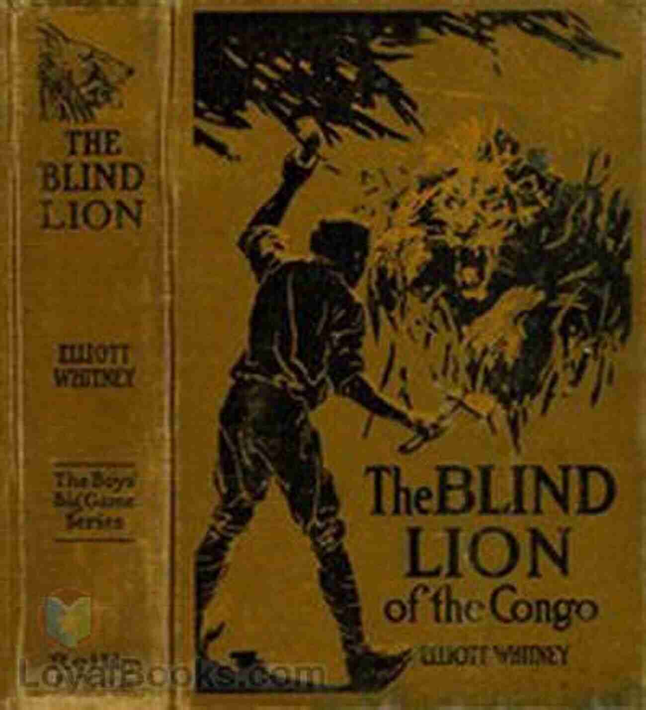 The Blind Lion Of The Congo