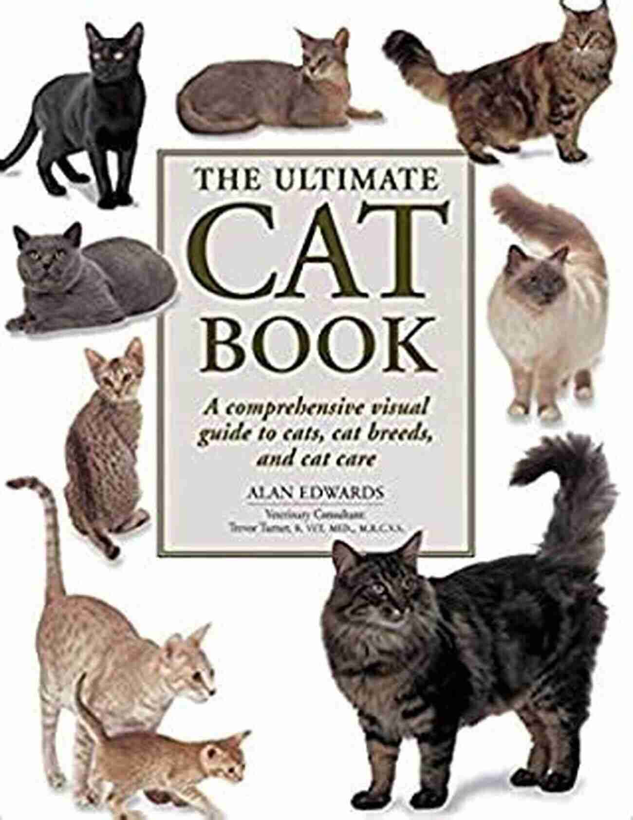 The Cat Manual Cover A Comprehensive Guide To Understanding And Bonding With Cats The Cat Manual Cathy Morrison