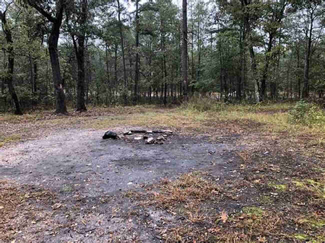 The Devil's Tramping Ground A Mysterious Circle That Defies Natural Explanation Monsters Of North Carolina: Mysterious Creatures In The Tar Heel State