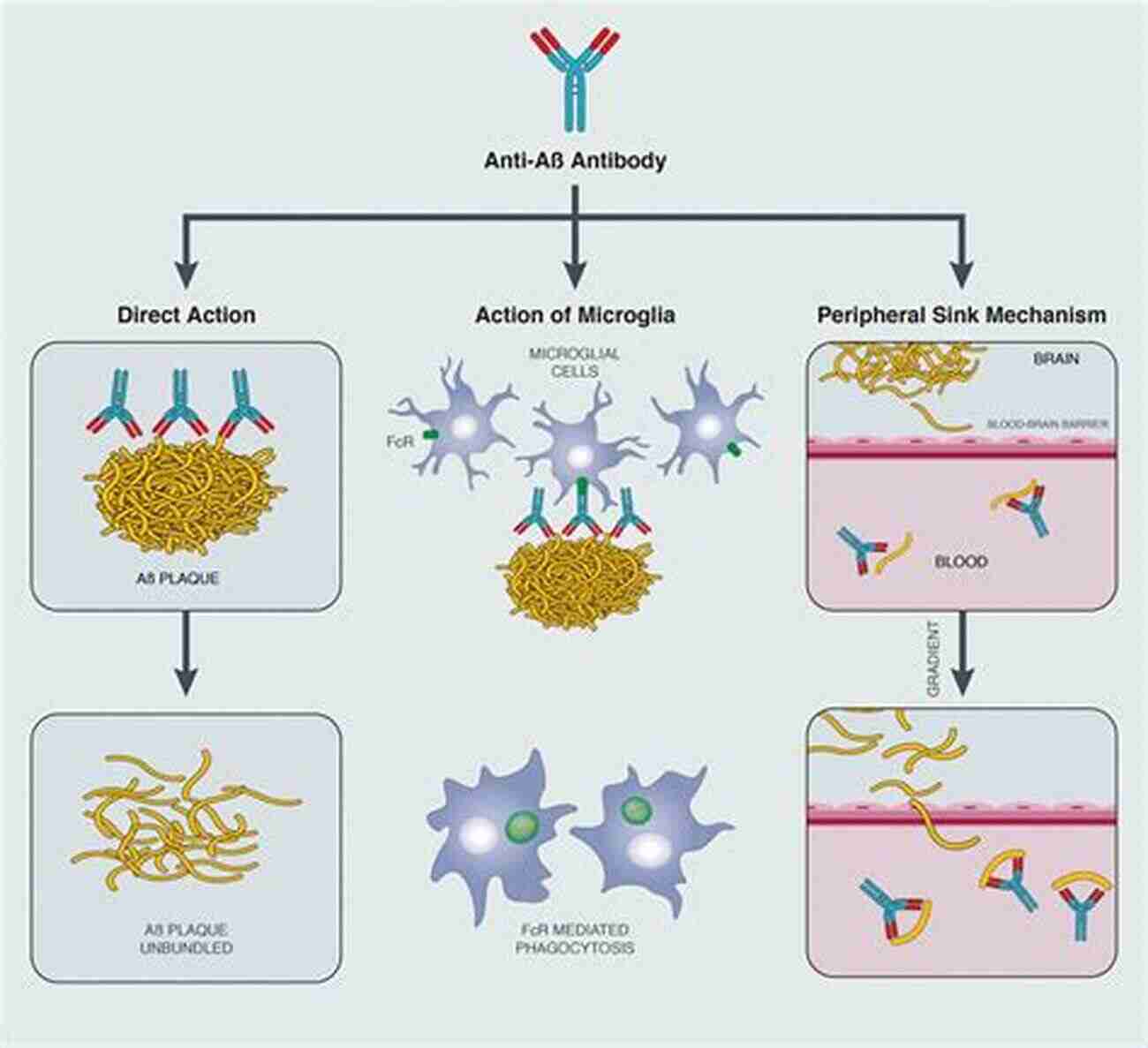 The Future Of Protein And Peptide Therapies: Unlocking New Possibilities Protein Misfolding Diseases: Current And Emerging Principles And Therapies (Wiley In Protein And Peptide Science 14)