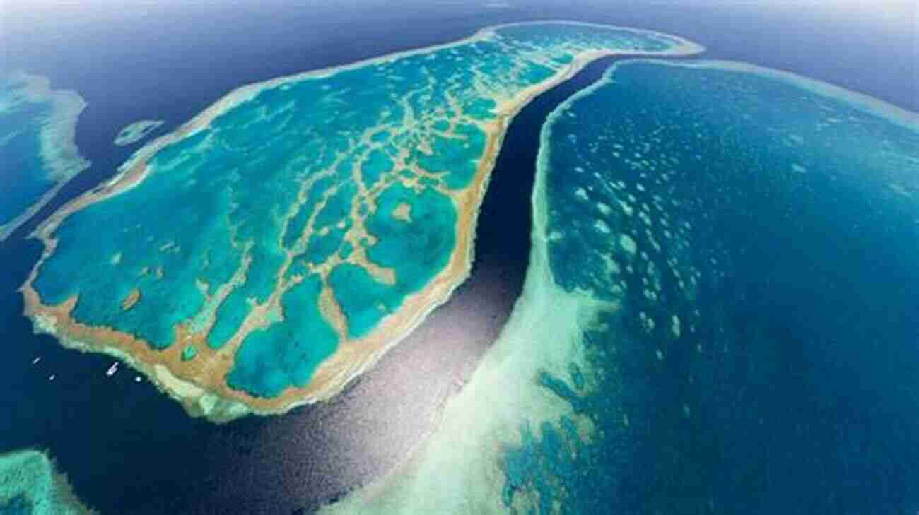 The Great Barrier Reef Ocean Facts: 101 Mind Blowing Ocean And Marine Life Facts : Ocean For All The Mystery Lovers Explorers And Creative Minds (101 Facts 2)