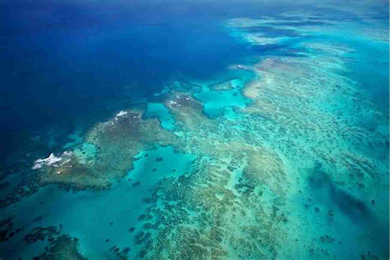 The Great Barrier Reef Ocean Facts: 101 Mind Blowing Ocean And Marine Life Facts : Ocean For All The Mystery Lovers Explorers And Creative Minds (101 Facts 2)