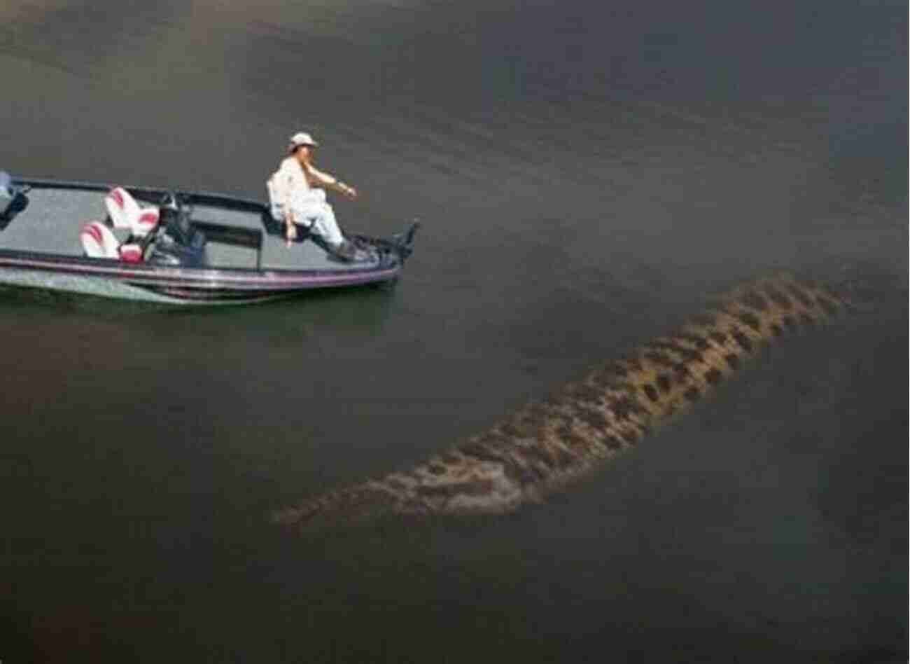 The Lake Norman Monster Known As Normie, This Reptilian Creature Is Said To Dwell Under The Waters Of Lake Norman Monsters Of North Carolina: Mysterious Creatures In The Tar Heel State