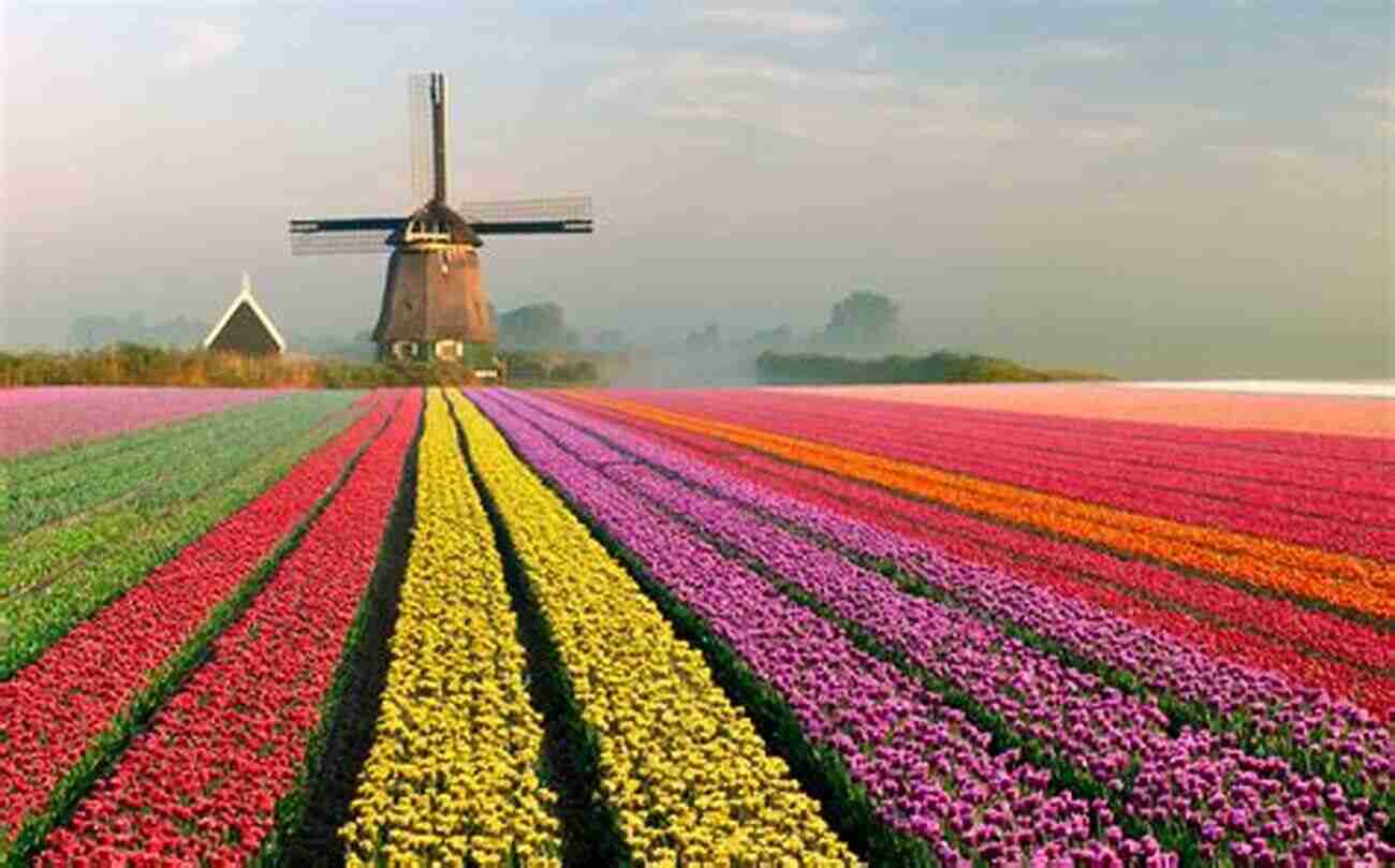 The Netherlands Is Known For Its Iconic Windmills And Tulip Fields Travels In Norway Sweden Denmark Hanover Germany Netherlands C