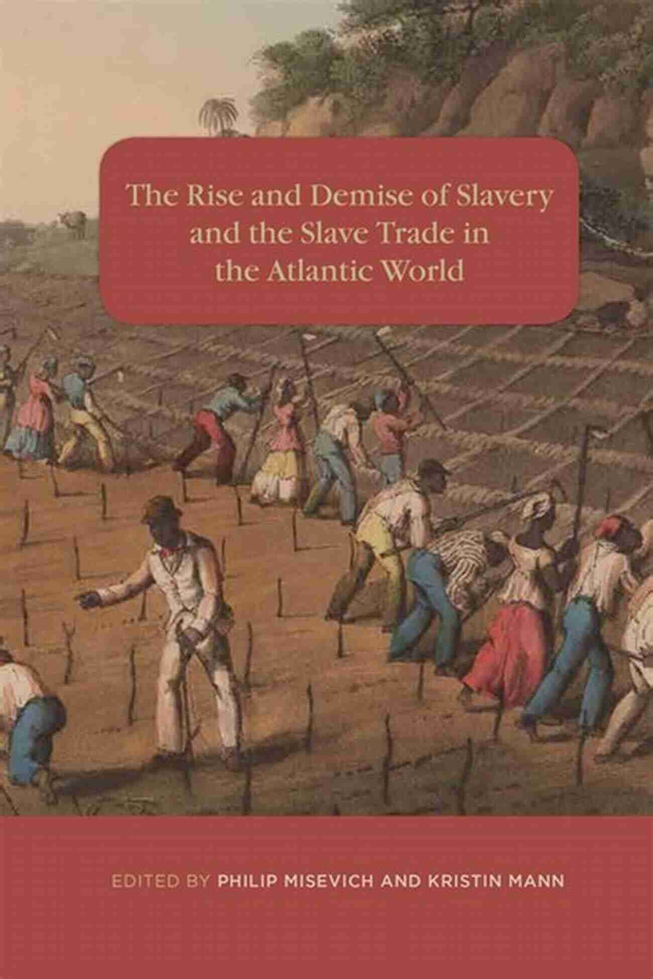 The Rise And Demise Of Slavery And The Slave Trade In The Atlantic World The Rise And Demise Of Slavery And The Slave Trade In The Atlantic World (Rochester Studies In African History And The Diaspora 71)