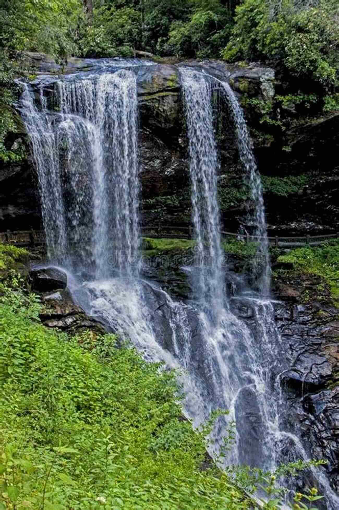 The Breathtaking Angel Falls, Surrounded By Lush Greenery. Owly Owls Most Popular Owls Of The World: Fun Facts And Pictures For Kids