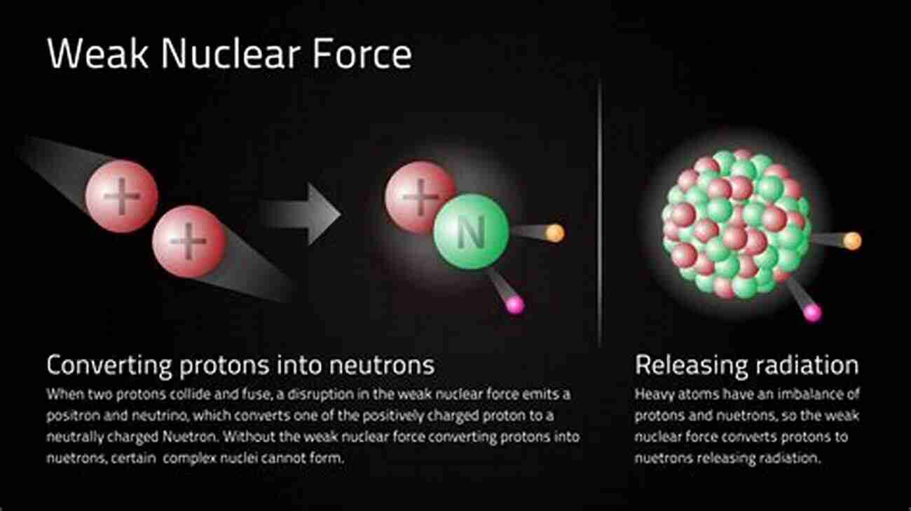 The Strong And Weak Nuclear Forces: The Building Blocks Of Matter The Forces Of Nature And Their Relations To Each Other