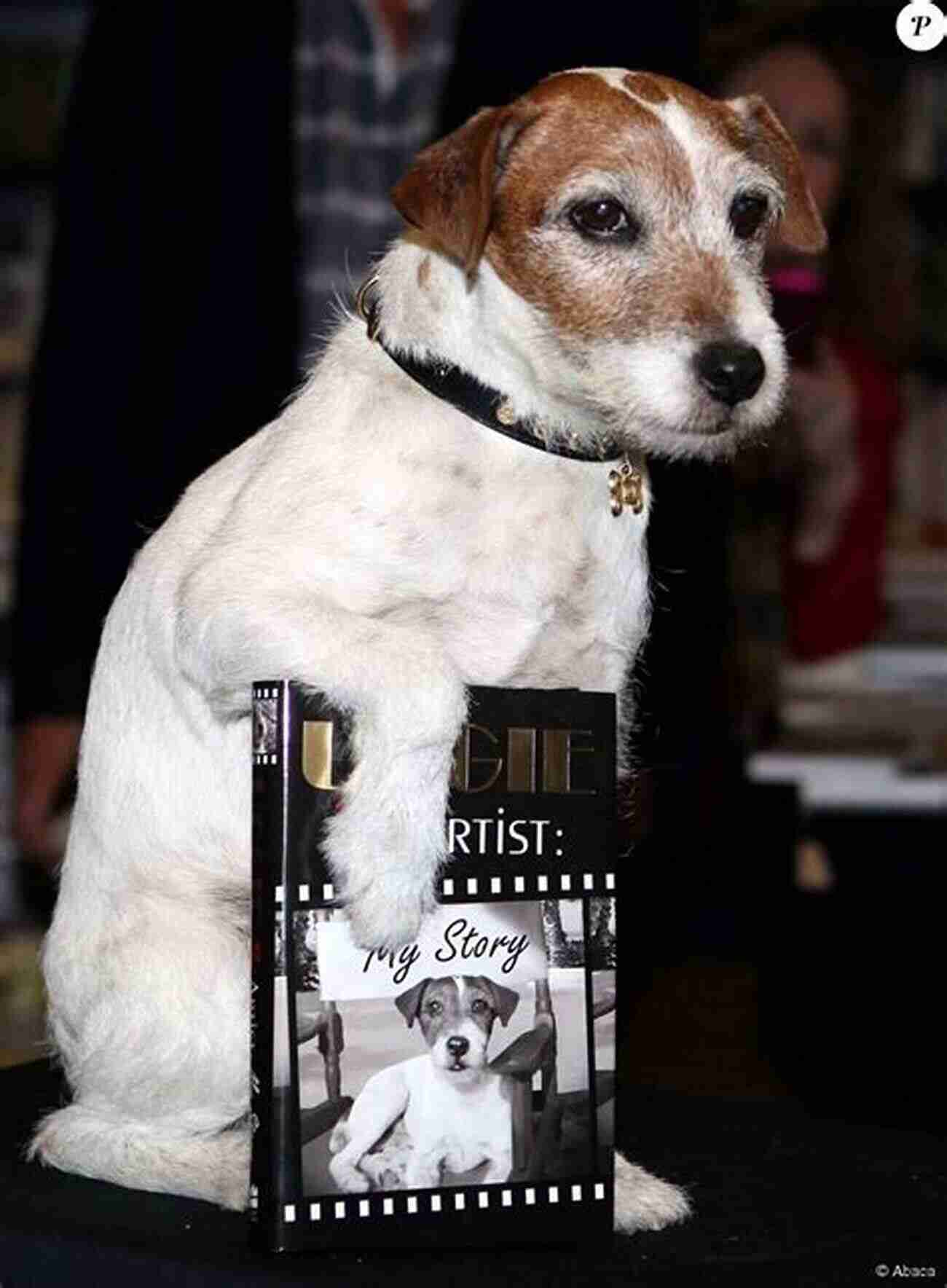 Uggie Receiving Awards Uggie My Story Uggie