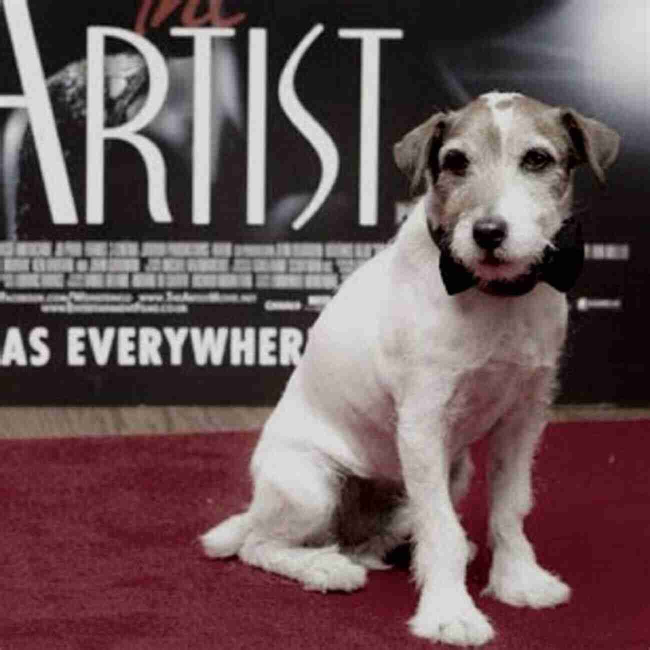 Uggie Posing On The Artist Movie Poster Uggie My Story Uggie