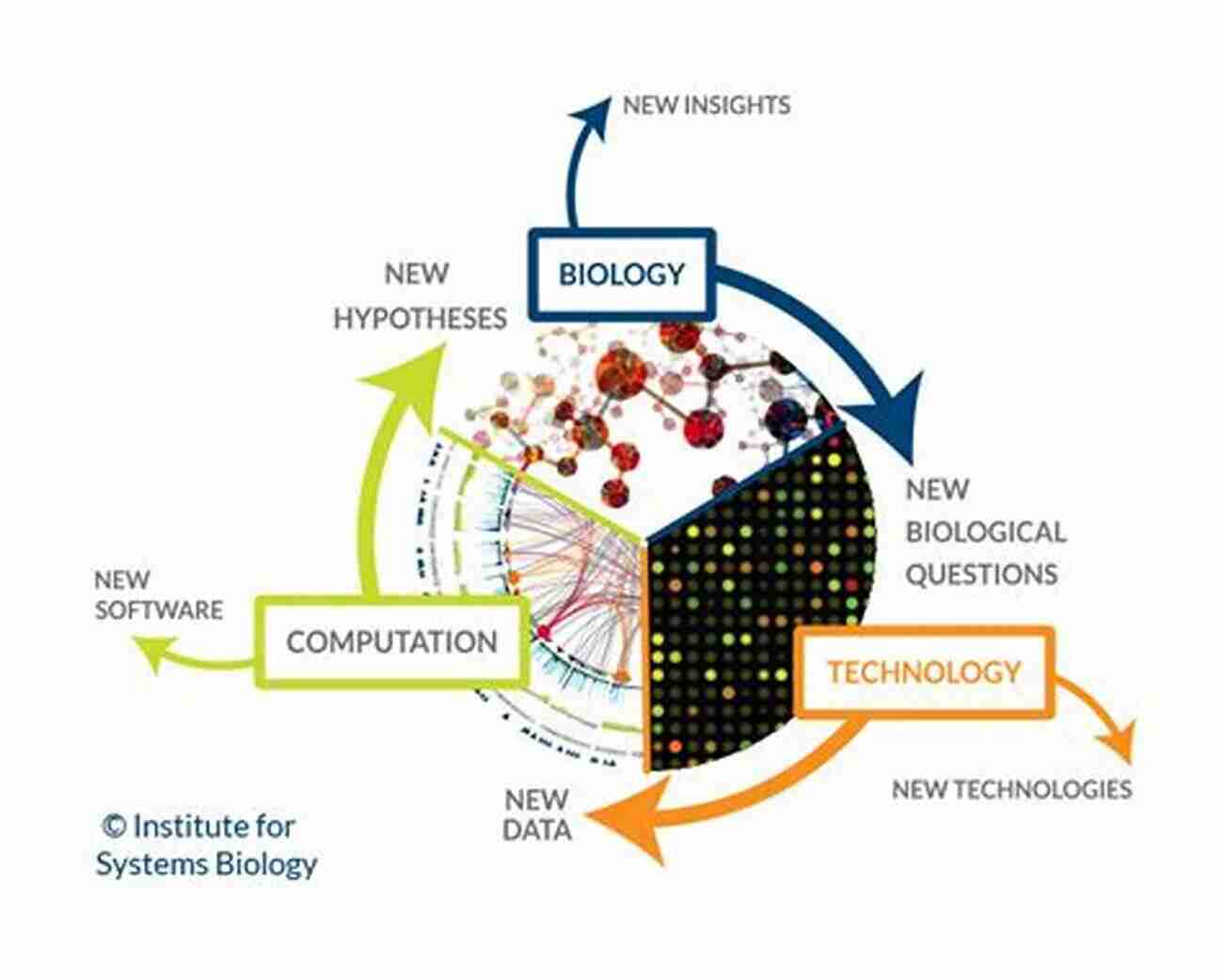 Understanding The Complexity Of Biological Systems Modeling Life: The Mathematics Of Biological Systems