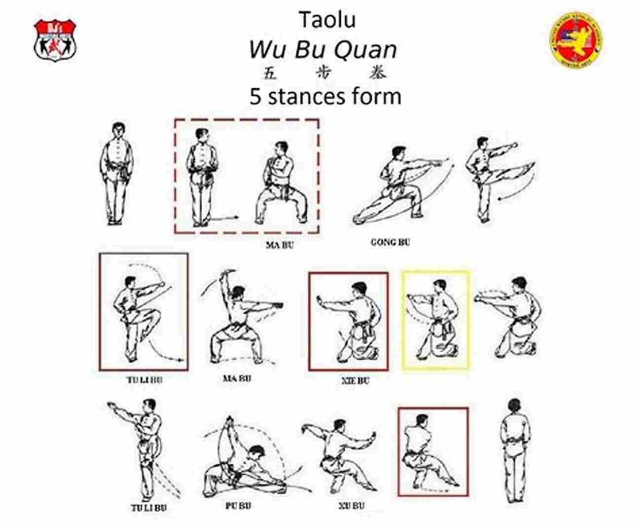 Variety Of Kung Fu Stances Kung Fu Guide For Beginners: Becoming A Kung Fu Martial Art Expert