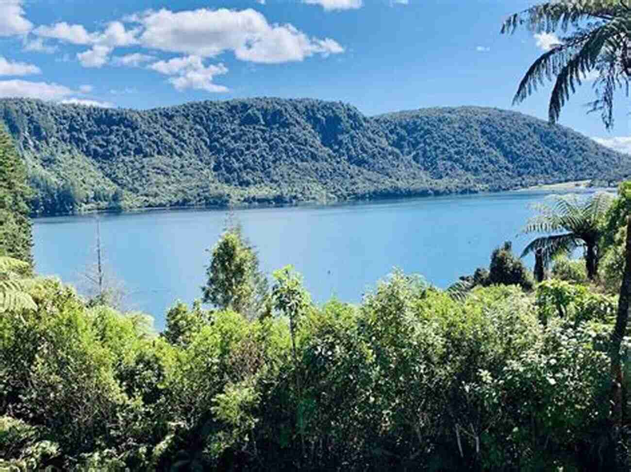 View Of Lake Rotorua From A Scenic Hiking Trail New Zealand Photo Journal #5: Hiking Rotorua Lakes