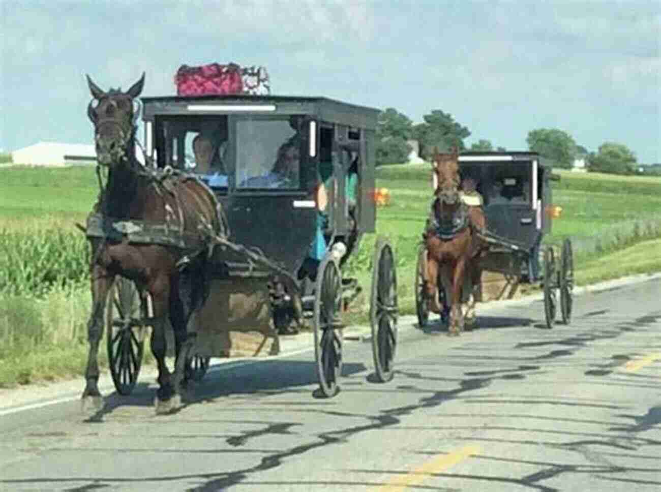 Wallenstein's Amish Community, Showcasing Horse Drawn Buggies Gracefully Moving Along The Roads Elmira Ontario 2 Hawkesville And Wallenstein In Colour Photos: Saving Our History One Photo At A Time (Cruising Ontario 71)